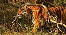 sightings-img-4